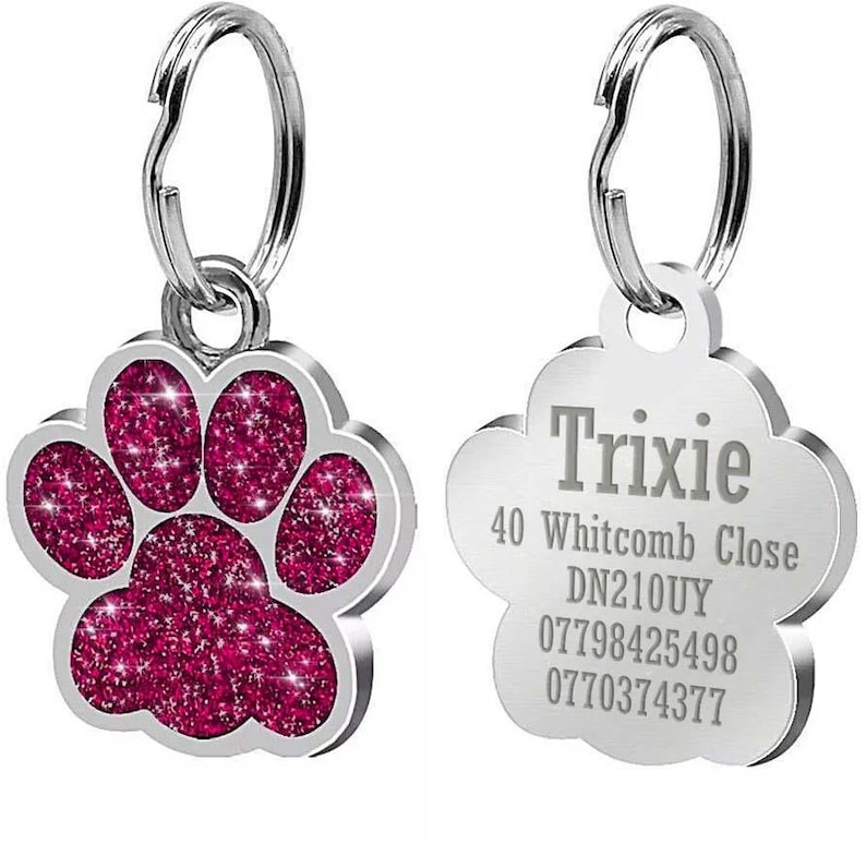 May include: Silver dog tag with a pink paw print design on one side and the text "Trixie", "40 Whitcomb Close", "DN210UY", "07798425498", and "0770374377" on the other side.