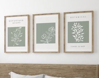 Láminas botánicas en verde salvia: Juego de 3 piezas de decoración natural para el hogar