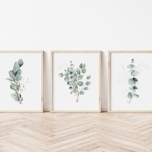 DIGITAL COPY Eucalyptus Plant Art Set of 3 Prints, Botanical Wall Art, Eucalyptus gift her, Nature Picture, Feature wall art.