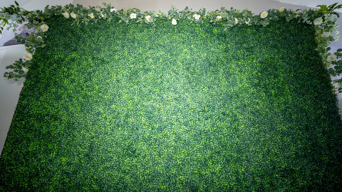 Boxwood Wall Backdrop RENTAL ONLY Backdrop Wall Green Etsy UK