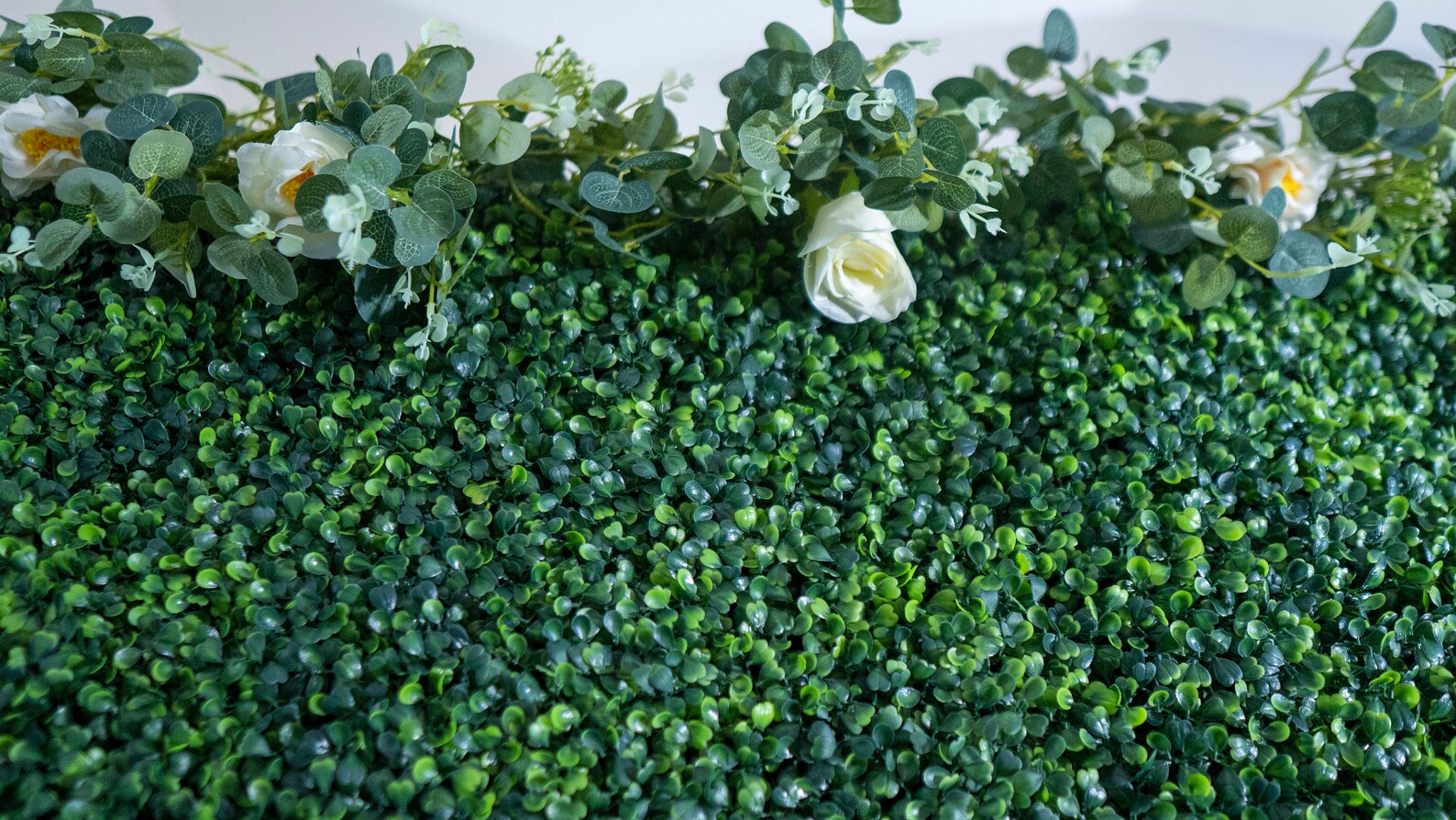 Boxwood Wall Backdrop RENTAL ONLY Backdrop Wall Green Etsy