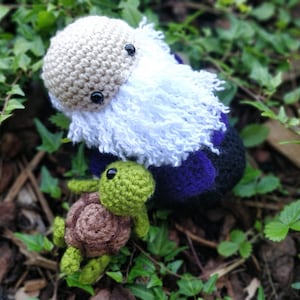 Charles Darwin with turtle amigurumi crochet PATTERN iconic people naturalist geologist biologist sciencist science evolution
