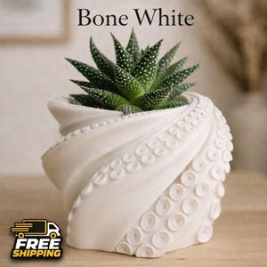 Octopus Planter Pot with Drainage Liner