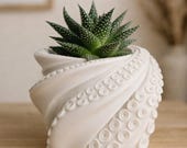 Octopus Planter Pot with Drainage Liner