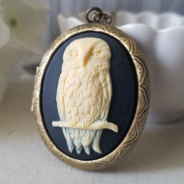 Black and Ivory Owl Cameo Locket in Bronze