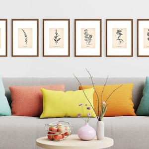 K&ouml;nnte beinhalten: Sechs gerahmte botanische Drucke verschiedener Pflanzen und Blumen, die an einer hellgrauen Wand &uuml;ber einem grauen Sofa mit bunten Kissen angebracht sind.