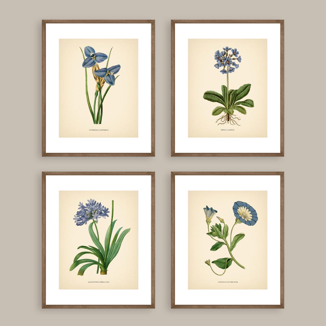 Blue Flowers Vintage Botanical Prints Blue Set of 4 Botanical Poster ...