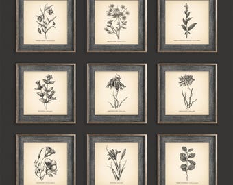 Square Botanical Prints Set of 9 Botanical Posters Wildflower Botanical Print Flower Print Vintage Print Botanical Art Neutral Home Decor