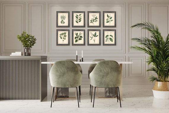 8x10'' Vintage Botanical Prints Set of 8 Botanical - Etsy