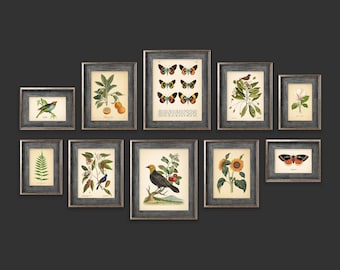 Set of 10 Vintage Botanical Prints Botanical Poster Flower Prints Butterfly Sunflower Fern Leaf Rose Bird Set of Prints Wall Art Cottage Art