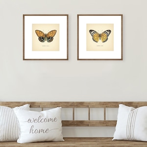 Set of 2 Vintage Butterflies Prints Botanical Square Print Butterfly Set of Prints Yellow Green Neutral Home Decor Neutral Art Reproduction zdjęcie 16