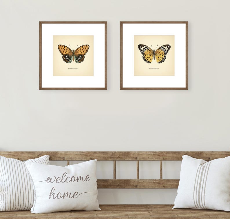 Set of 2 Vintage Butterflies Prints Botanical Square Print Butterfly Set of Prints Yellow Green Neutral Home Decor Neutral Art Reproduction zdjęcie 16