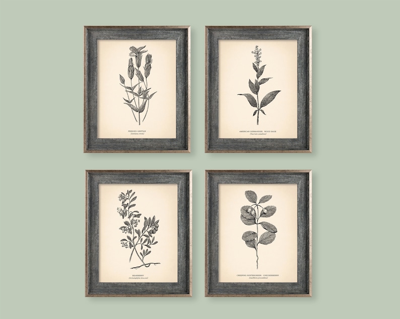 8x10'' Vintage Botanical Prints Set of 4 Botanical Etsy