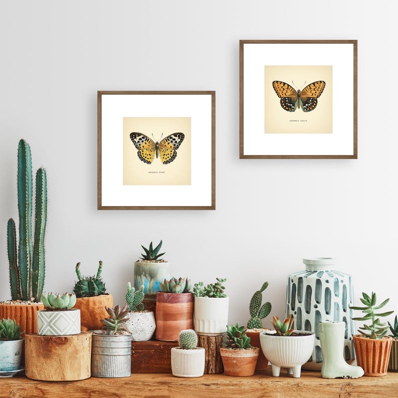 Set of 2 Vintage Butterflies Prints Botanical Square Print Butterfly Set of Prints Yellow Green Neutral Home Decor Neutral Art Reproduction zdjęcie 11