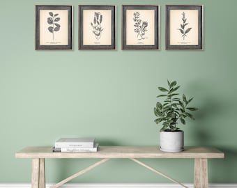 8x10'' Vintage Botanical Prints Set of 4 Botanical Poster Wildflower Botanical Print Flower Print Vintage Print Botanical Art Neutral Decor
