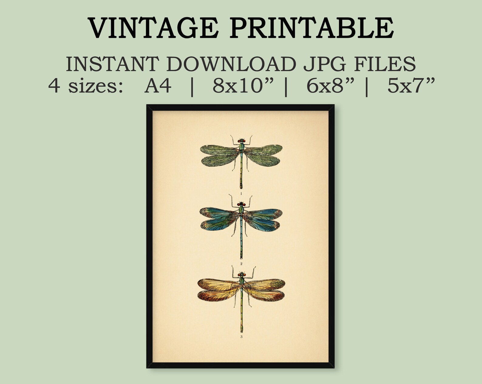 Instant Download Vintage Dragonflies Printable Art Botanical - Etsy