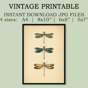 Instant Download Vintage Dragonflies Printable Art Botanical - Etsy