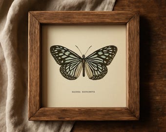 Vintage Butterflies Prints Botanical Print Square Print Butterfly Set of 2 Prints Green Blue Beige Neutral Home Decor Cottagecore Rustic Art