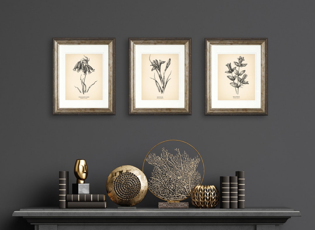 8x10'' Vintage Botanical Prints Set of 3 Botanical Poster Wildflower ...