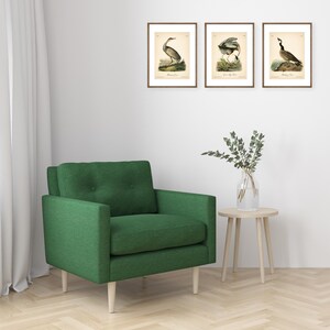 8x10'' 3 VINTAGE PRINTS Audubon Birds 8x10 inches Wall Art Decor Rustic Antique Book Birds of America Botanical Prints Set of 3 Prints Heron image 8