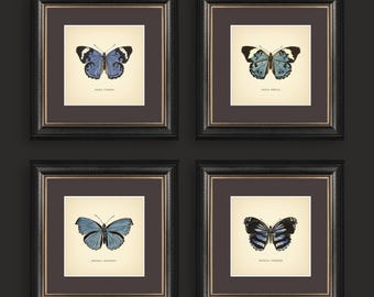 Set of 4 Vintage Butterflies Prints Botanical Square Print Butterfly Set of Prints Yellow Green Neutral Home Decor Neutral Art Reproduction