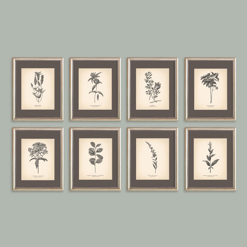 8x10'' Vintage Botanical Prints Set of 8 Botanical Poster Botanical ...