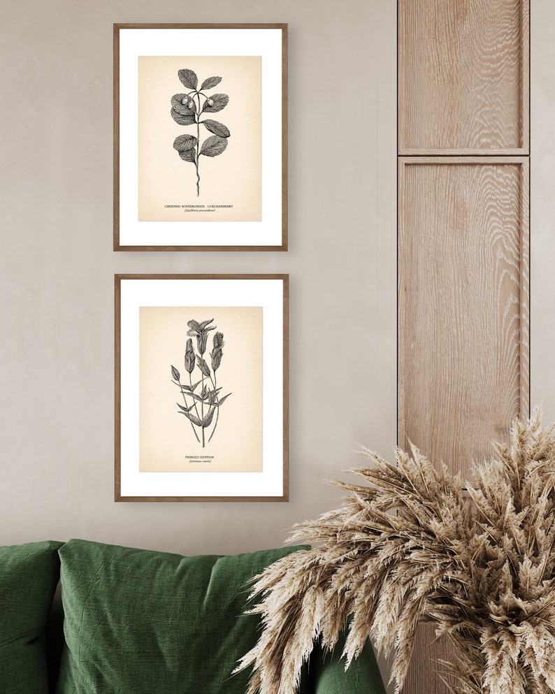 8x10'' Vintage Botanical Prints Set of 2 Botanical Poster Wildflower ...