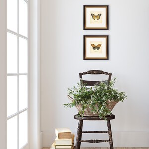 Set of 2 Vintage Butterflies Prints Botanical Square Print Butterfly Set of Prints Yellow Green Neutral Home Decor Neutral Art Reproduction zdjęcie 15