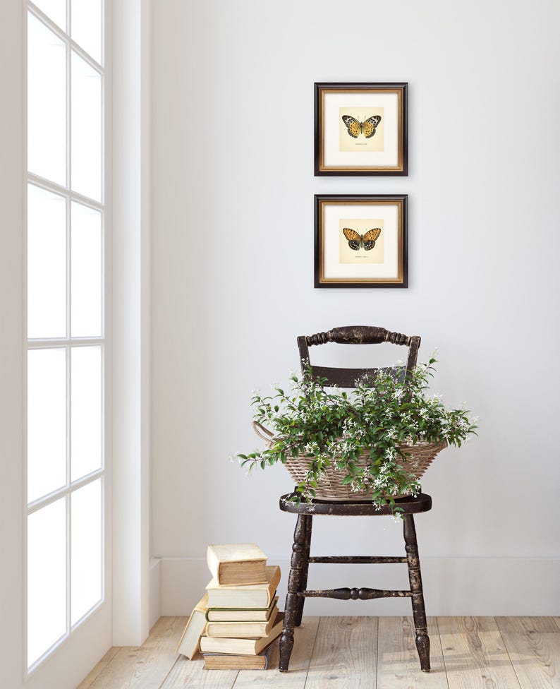 Set of 2 Vintage Butterflies Prints Botanical Square Print Butterfly Set of Prints Yellow Green Neutral Home Decor Neutral Art Reproduction zdjęcie 15