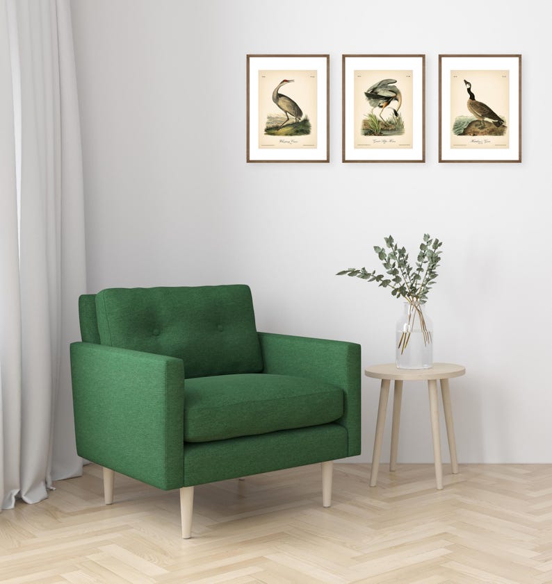 8x10'' 3 VINTAGE PRINTS Audubon Birds 8x10 inches Wall Art Decor Rustic Antique Book Birds of America Botanical Prints Set of 3 Prints Heron image 9