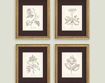 Neutral Botanical Prints Set of 4 Botanical Poster Wildflower Print Flower Print Vintage Print Botanical Art Neutral Decor Wall Art