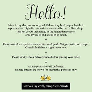 May include: A light green background with the word "Hello!" in elegant script. Text below details the artwork's creation, paper type, and that prints are sold unframed. A small illustration of a bicycle with lemons for wheels is at the bottom, along with a shop URL.