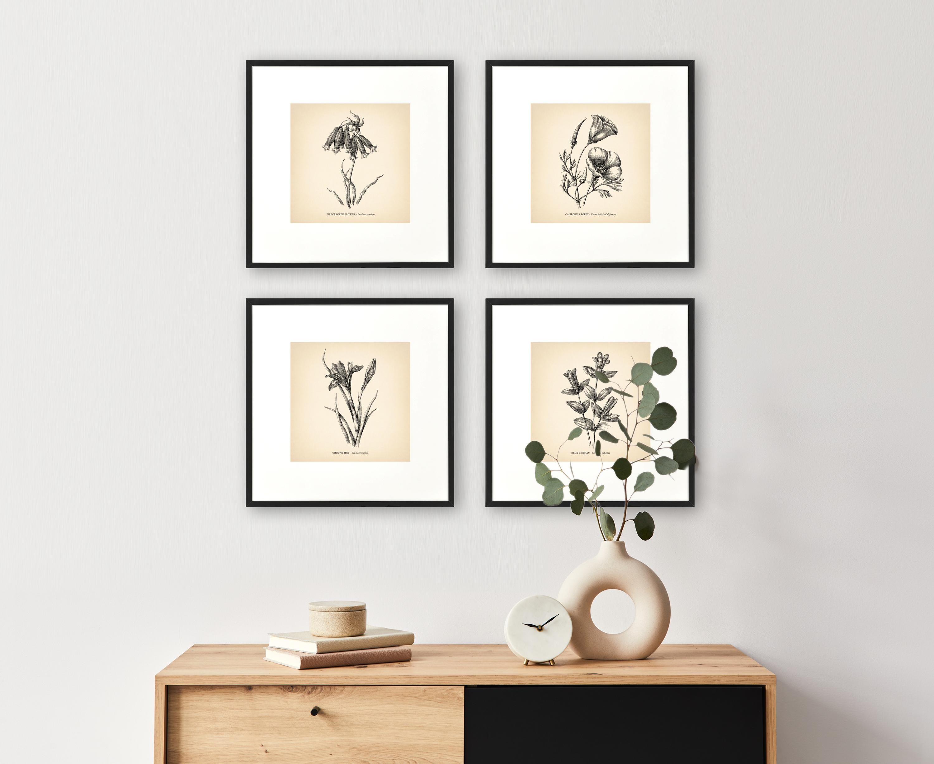8x8'' Vintage Botanical Prints Set of 4 Botanical Poster Wildflower ...