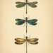 Instant Download Vintage Dragonflies Printable Art Botanical - Etsy