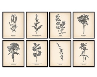 Botanical Print Set | Etsy