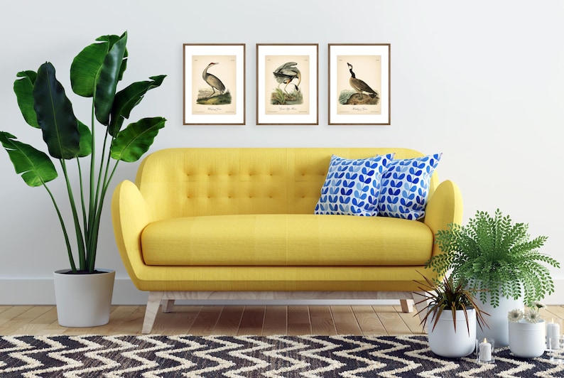 8x10'' 3 VINTAGE PRINTS Audubon Birds 8x10 inches Wall Art Decor Rustic Antique Book Birds of America Botanical Prints Set of 3 Prints Heron image 11