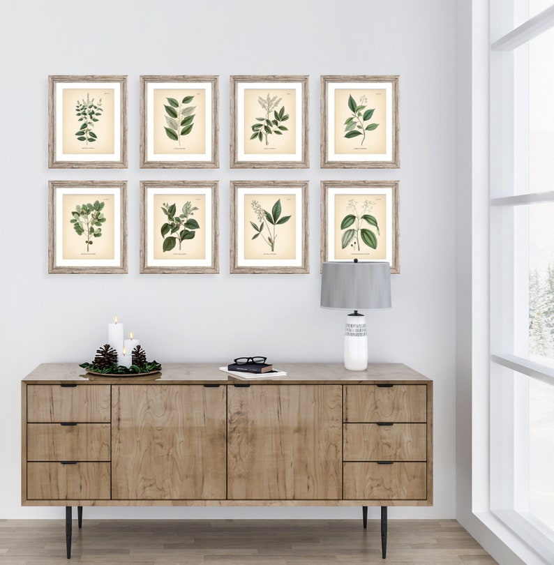8x10'' Vintage Botanical Prints Set of 8 Botanical Poster Green Herbs ...