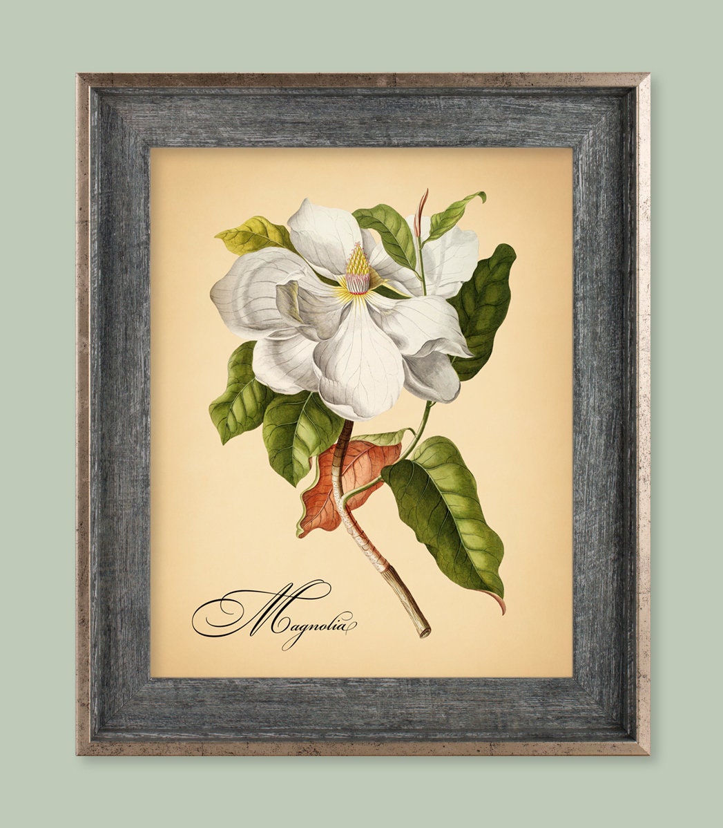 Instant Download VINTAGE MAGNOLIA Printable Digital Print | Etsy