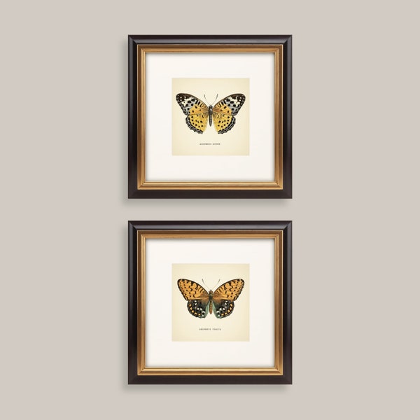 Conjunto de 2 impresiones de mariposas vintage, impresión botánica cuadrada, conjunto de impresiones de mariposas, amarillo, verde, neutro, decoración del hogar, reproducción de arte neutro