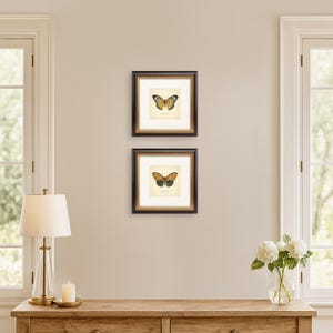 Set of 2 Vintage Butterflies Prints Botanical Square Print Butterfly Set of Prints Yellow Green Neutral Home Decor Neutral Art Reproduction zdjęcie 12