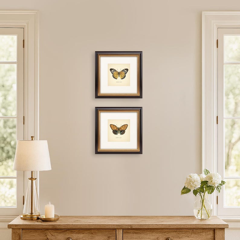 Set of 2 Vintage Butterflies Prints Botanical Square Print Butterfly Set of Prints Yellow Green Neutral Home Decor Neutral Art Reproduction zdjęcie 12