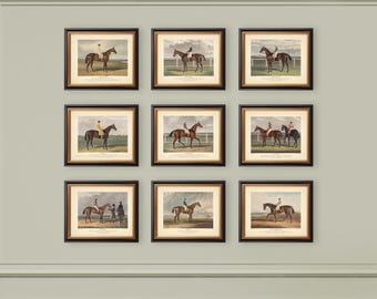 8x10'' Set of 9 Equestrian Prints Reproductions Neutral Decor Classic Decor Vintage Art Countryside Country Cottage Horse Race Horse Riding