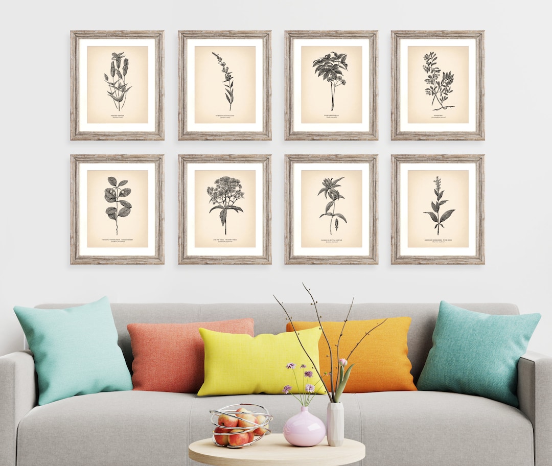 8x10'' Vintage Botanical Prints Set of 8 Botanical Poster Wildflower ...