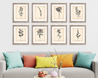 8x10'' Vintage Botanical Prints Set of 8 Botanical Poster Wildflower Botanical Print Flower Print Vintage Print Botanical Art Neutral Decor