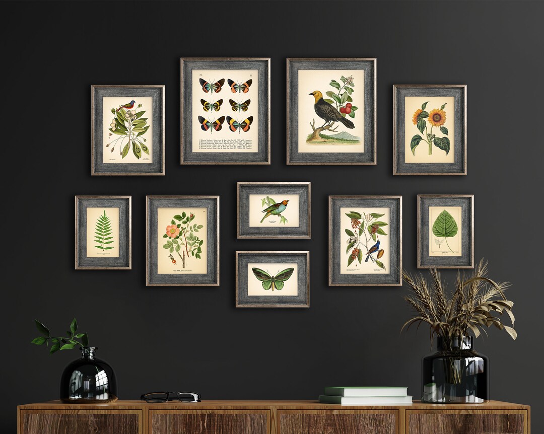 Set of 10 Vintage Botanical Prints, Botanical Poster, Flower Prints ...