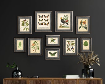 Set of 10 Vintage Botanical Prints, Botanical Poster, Flower Prints, Butterfly Sunflower Flamingo Fern Leaf Rose Bird | Set of Prints