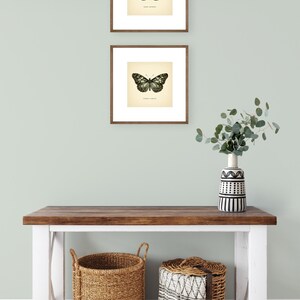 May include: Two framed butterfly prints with brown frames and white mats hang above a wooden console table. The table has a white base and a brown top. Two woven baskets and a decorative vase with a black and white pattern are on the table.