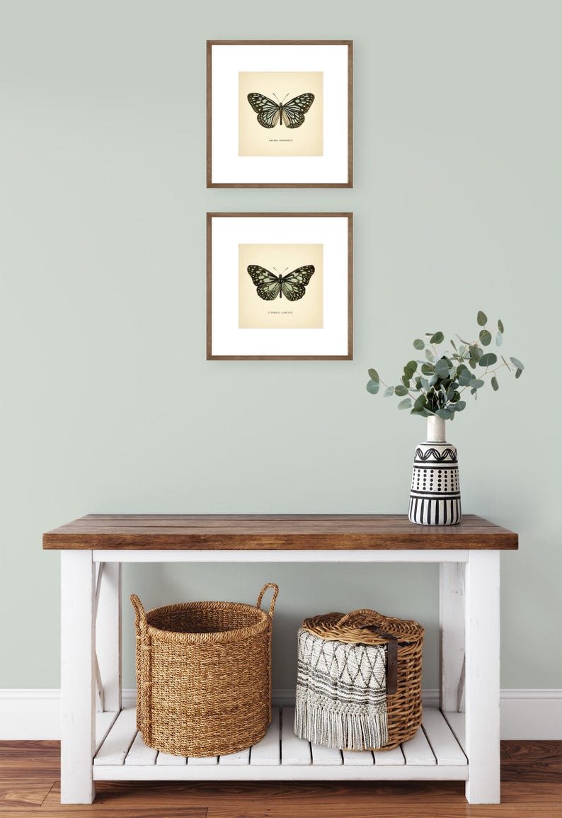 May include: Two framed butterfly prints with brown frames and white mats hang above a wooden console table. The table has a white base and a brown top. Two woven baskets and a decorative vase with a black and white pattern are on the table.