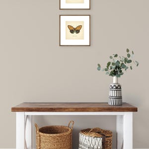 Set of 2 Vintage Butterflies Prints Botanical Square Print Butterfly Set of Prints Yellow Green Neutral Home Decor Neutral Art Reproduction zdjęcie 14