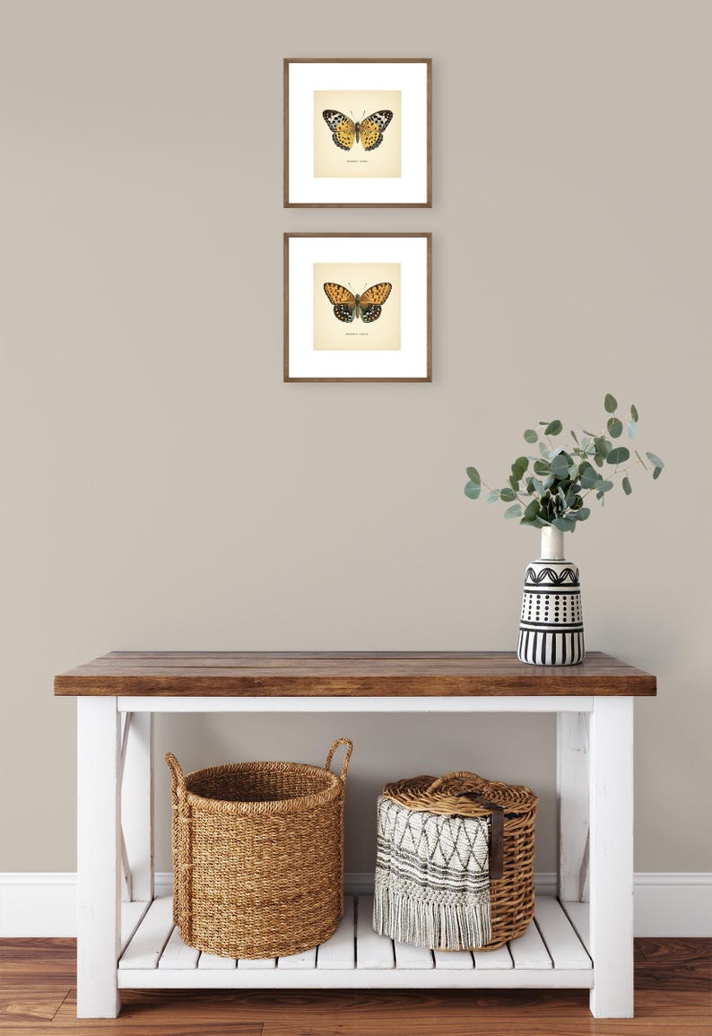 Set of 2 Vintage Butterflies Prints Botanical Square Print Butterfly Set of Prints Yellow Green Neutral Home Decor Neutral Art Reproduction zdjęcie 14